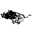 running wild boar black and white vector image