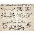 ornate floral element vector image