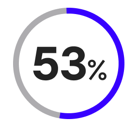 53 %