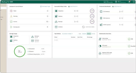 Instance and Volume Restore