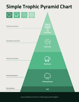 Free  Template: Nature Trophic Pyramid Chart Template