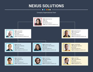 business  Template: Corporate Organizational Chart Template