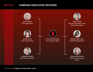 premium  Template: Netflix Organizational Structure Flow Chart Template