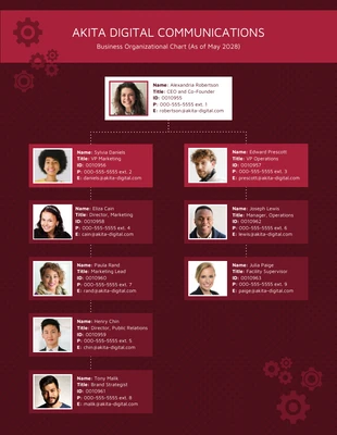 premium  Template: Organizational Chart for Small Business Diagram Template