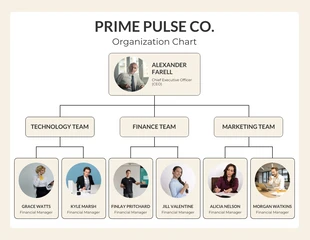 Free  Template: Minimalist Organization Chart Template