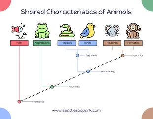 Free  Template: Icônes mignonnes Cladogramme animal