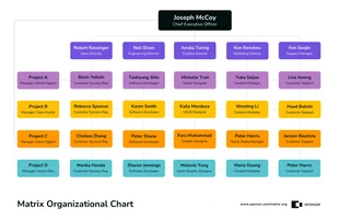 premium  Template: Premium Matrix Organizational Chart Template