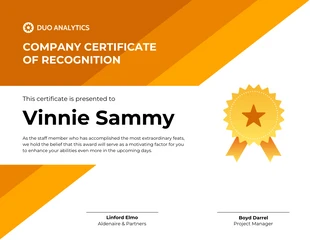 business  Template: Orange Professional Company Certificate of Recognition Template