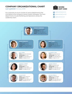 premium  Template: Company Organizational Chart Template