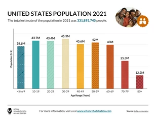 premium  Template: United States Population Histogram Template