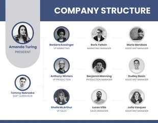 premium  Template: Team Structure Organizational Chart PPT Template