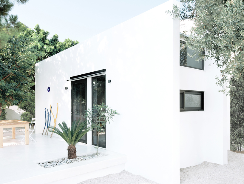 Small box dwelling with white concrete walls and windows surrounded by olive trees.