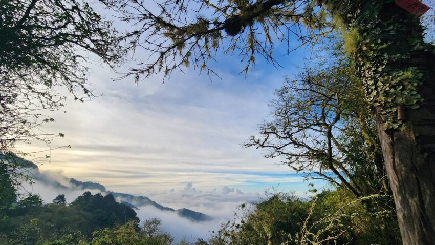 383248.jpg - 【南投】塔塔加步道。上東埔停車場進。鹿林山+鹿林前山+麟趾山可遠眺玉山。簡易好走步道晚霞雲海超美