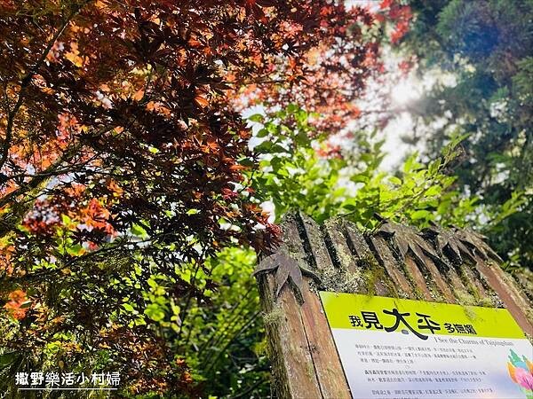 與太平山美麗的邂垢｜觀景台欣賞絕美晨曦日出，太平山莊附近景點