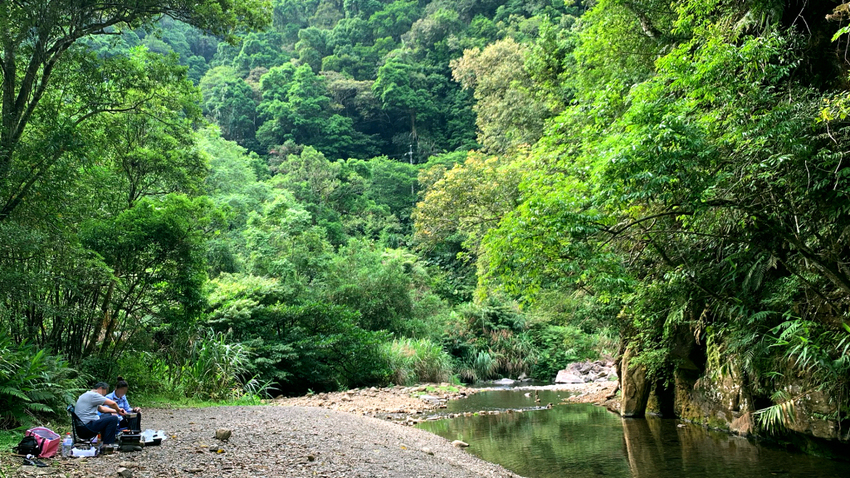 新北坪林｜金瓜寮魚蕨步道｜夏日親水野溪小徑