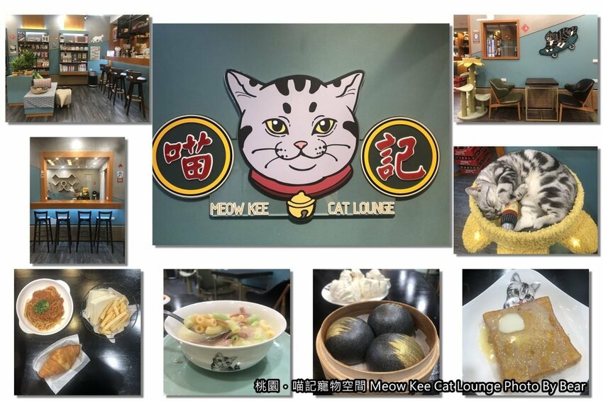 【桃園】「喵記寵物空間Meow Kee Cat Lounge（港式料理/茶樓點心/複合式經營/寵物友善/專業寵物貓美容/國強一街）」