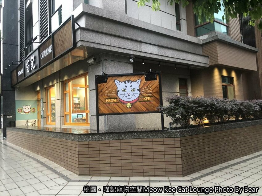 【桃園】「喵記寵物空間Meow Kee Cat Lounge（港式料理/茶樓點心/複合式經營/寵物友善/專業寵物貓美容/國強一街）」