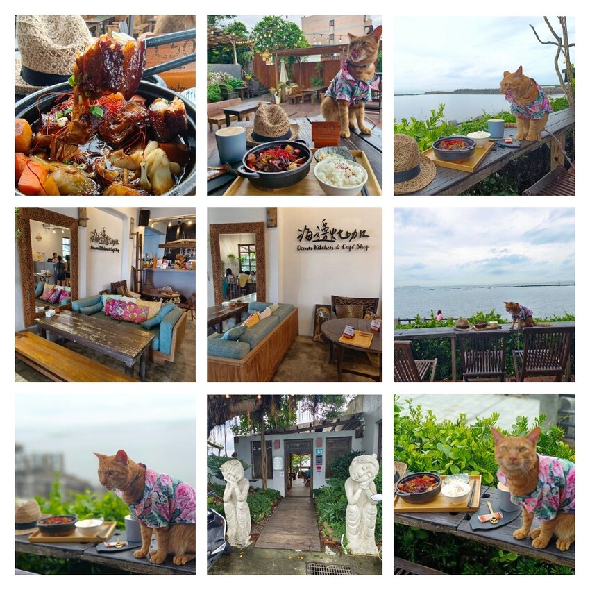 【台北.三芝】北海岸餐廳推薦。海邊灶咖海景第一排餐廳。寵物友善。推古早味控肉飯&三杯雞