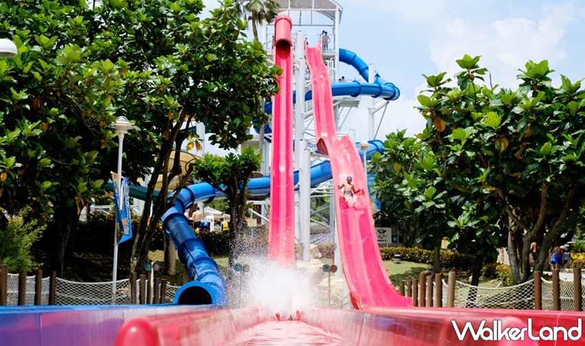 麗寶樂園 馬拉灣 / WalkerLand窩客島整理提供 未經許可，不得轉載