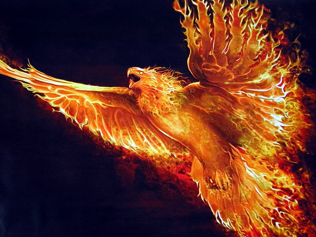 Free download Phoenix Bird 14 Hd Wallpaper Hivewallpapercom ...