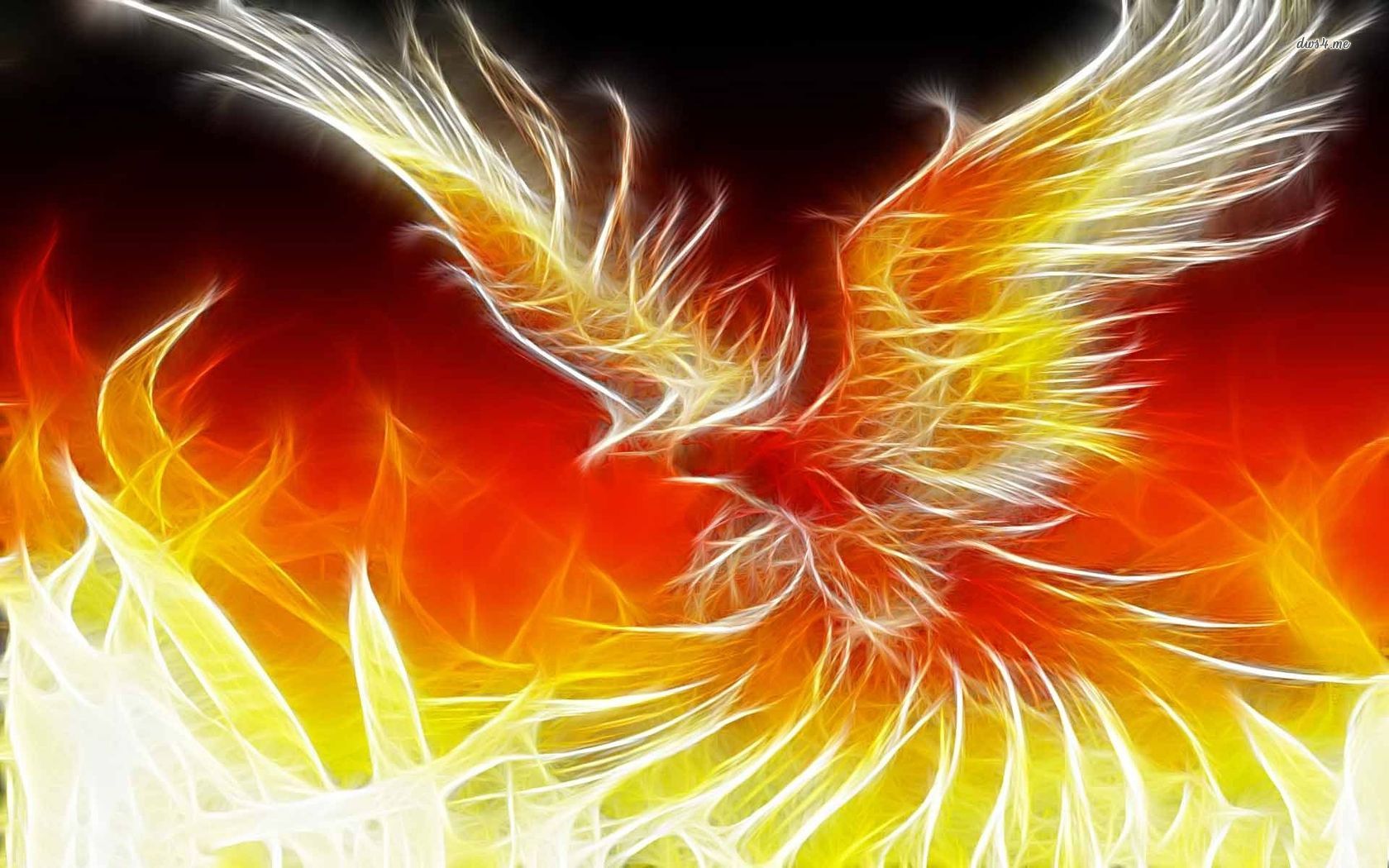 Free download Phoenix Bird 39 Desktop Background [1680x1050] for ...