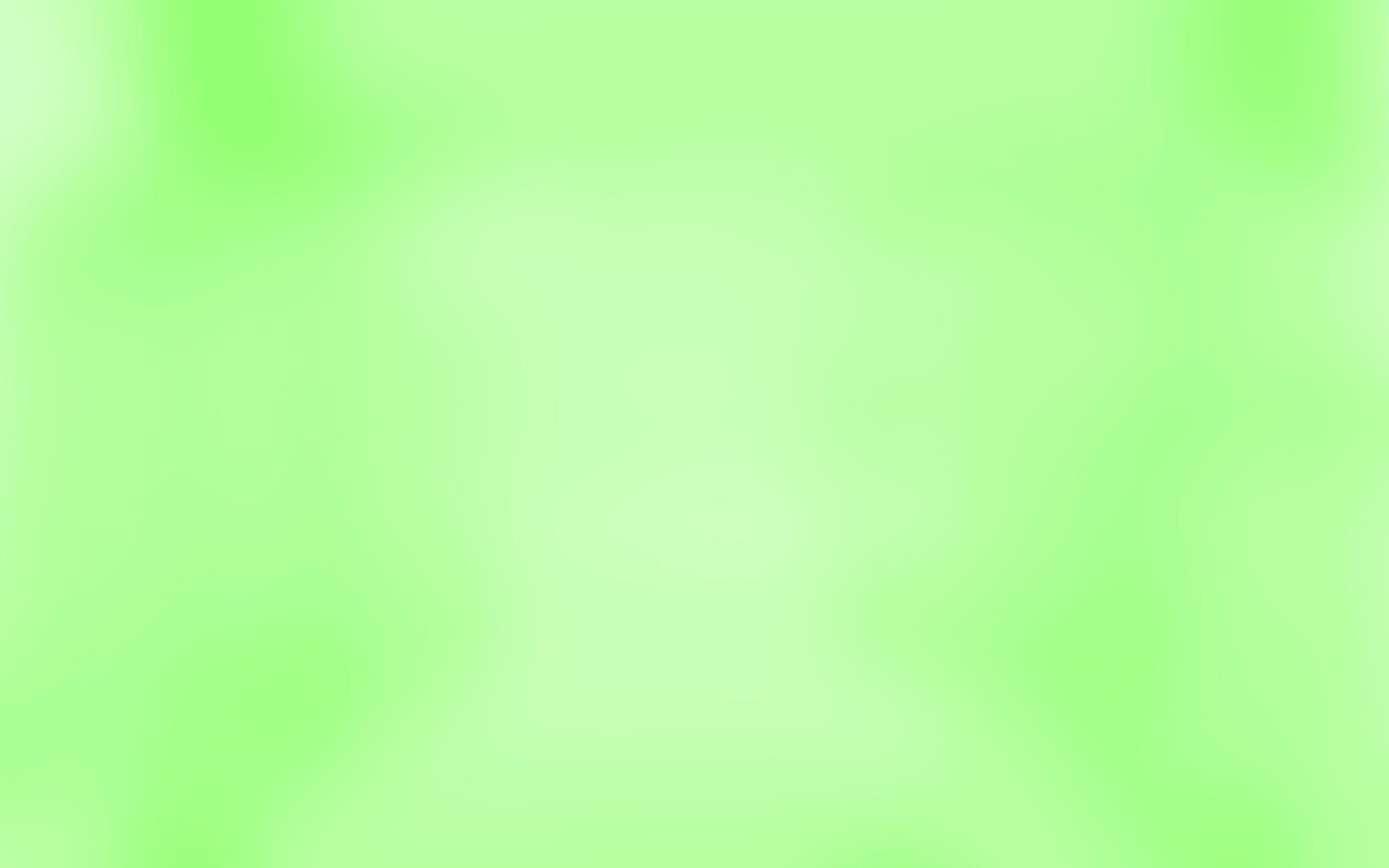 Free download Light Green Backgrounds [2560x1600] for your Desktop