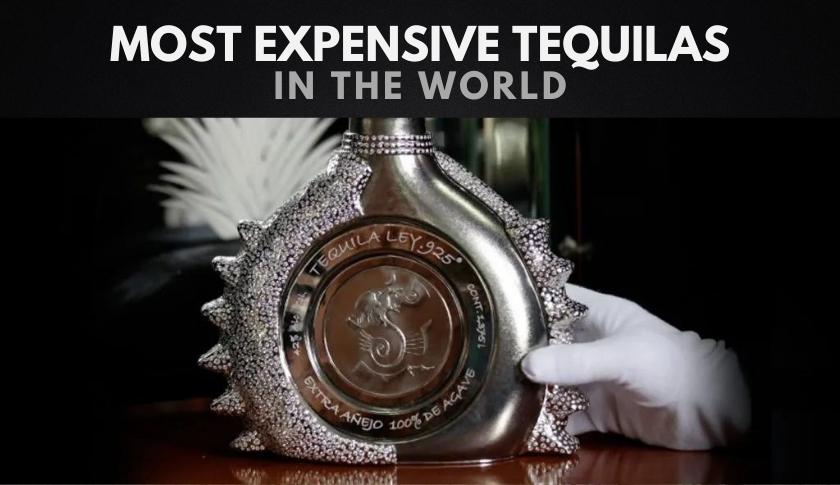 The Most Expensive Tequilas in the World