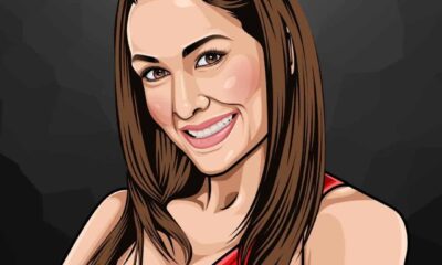 Brie Bella Net Worth