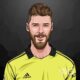 David de Gea Net Worth