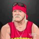 Hulk Hogan Net Worth