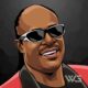 Stevie Wonder Net Worth