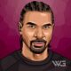 David Haye Net Worth