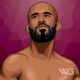 Demetrious Johnson Net Worth