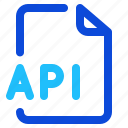 api, file, format