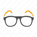 eyeglasses, glasses, spectacles, student, education, study