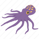 animal, cartoon octopus, octopus, seafood, sealife