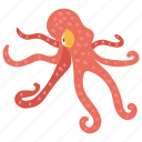 animal, cartoon octopus, octopus, seafood, sealife