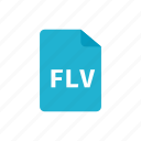 file, flv