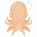 octopus, ocean, animal, sea, nature