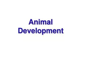 Animal Development