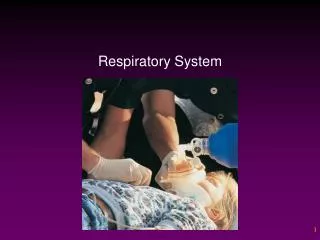 Respiratory System