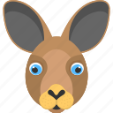 animal, animal face, brown bunny, bunny face, long ears