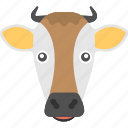 animal, brown cow, cow face, domestic animal, long face