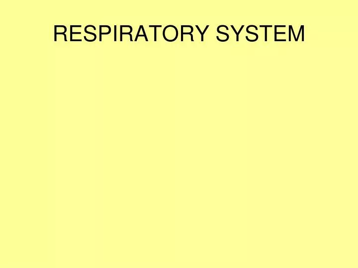 respiratory system