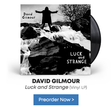 David Gilmour - Luck and Strange