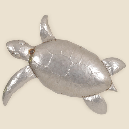 Outdoor Small Sea Turtle