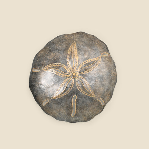 Medium Metal Sand Dollar Wall Art