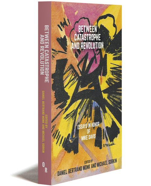 Between Catastrophe and Revolution - Paperback