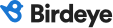 birdeye logo