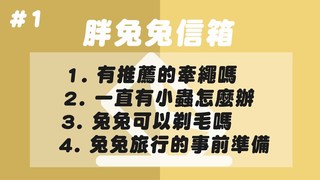 侑敏頻道-胖兔兔信箱#1：推薦的牽繩、環境有小黑蟲怎麼辦、可以剃毛嗎、外出旅遊的注意事項